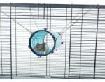 Savic Giant tube - Тунел за плъхове, порчета и други дребни животни, 11х11х31 см