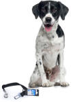 Duvo Plus Short Safety Lead - Предпазен повод /колан за кучета за автомобил 40-70см. /2см. черен