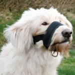 TRIXIE Muzzle Loop - Мек намордник за кучета с обиколка на муцуната XL- XXL 28-38 см