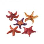 Ferplast - Marine stars - Декорация за аквариум във форма на морска звезда, - опаковка 1 брой, 9 x 9 x h 2, 5 см