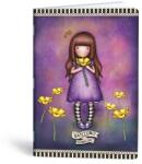 Mar-Mar Füzet kockás LIPAMILL A/5 40 lapos Santoro