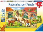 Ravensburger Caluți 2x12 piese RVSPC05178 Puzzle