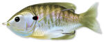 LIVETARGET Sunfish Walking Bait Natural/olive Bluegill 75 Mm 12 G (e-lt202550)