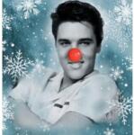 BERTUS Elvis Presley - Elvis Christmas Album (1lp, Limited Edition, Green Coloured Vinyl) (3g1860)