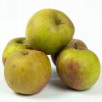  Friss Alma Szürke Reneta, lengyel, 1kg, 2025-ös szüret (59878264145531)