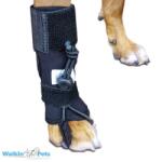  Walkinpets - corector de pași pentru antepicior XS