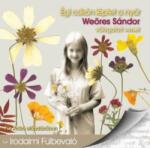 Kossuth Kiadó / Mojzer Kiadó Égi csikón léptet a nyár - Hangoskönyv