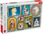 Trefl Galerie pentru câini 1000 piese 10686 Puzzle