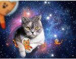 Ravensburger Pisicuțe în spațiu 1500 piese RVSPA17439 Puzzle