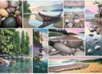 Ravensburger Coasta de vest 1000 piese RVSPA17469 Puzzle