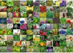 Ravensburger 99 de plante și condimente 1000 piese RVSPA15991 Puzzle