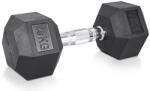 inSPORTline Gantera hexagonala inSPORTline Hexclusive 25 kg (30002) - sportist
