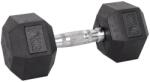 inSPORTline Gantera hexagonala inSPORTline Hexsteel 10 kg (29841)