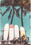 Ravensburger Surfing 300 piese RVSPA13311 Puzzle
