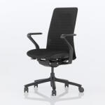 FlexiSpot POLY Ergonomikus irodai szék BS13, Fekete, Díjnyertes design és prémium kényelem (BS13B)