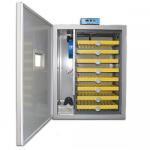 Ryaba Incubator automat 500 oua ZDO-500