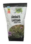 Patru Agro Samanta lucerna romaneasca DOBROGEA C1, Drajata, 4 AGRO - 10 kg (PR-103346)