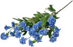 Valex Decor Kerti szegfű ág, 70cm magas - Kék (LD024-08)