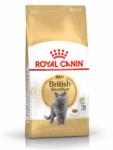Royal Canin British Shorthair 4kg Száraz kutyaeledel Brit macskák számára