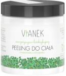 VIANEK energetizáló és méregtelenítő testradír 250ml (5907502687836)