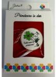 Flippy Martisor Brosa Mica in Cutie, Jolie, Design cu Mesaj, Dimensiune 2.5-3 cm, Material Metal, Model Rotund Trifoi Flori (teo-164935)