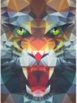 Ravensburger Tigru poli 500 piese RVSPA16984 Puzzle