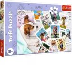 Trefl Tablouri festive 300 piese 23003 Puzzle