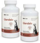 Lab-v Glandala - Susține funcționarea corectă a glandelor anale și a tractului digestiv la câini 2x90 capsule