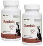 Lab-v Glandala - Susține funcționarea corectă a glandelor anale și a tractului digestiv la câini 2x45 capsule