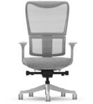 FlexiSpot Ergonomikus, többfunkciós irodai szék BS8 Pro, Szürke, 3D forgatható kartámasszal (BS8PG)