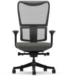 FlexiSpot Ergonomikus, többfunkciós irodai szék BS8 Pro, Fekete, 3D forgatható kartámasszal (BS8PB)