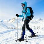 vidaXL 3 в 1 снегоходки с туристически пръчки Сребрист и Черен (42021437)