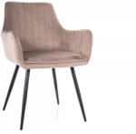 SIGNAL MEBLE Apple Velvet Bársony Étkezőszék Sötét Bézs Fekete Vázzal