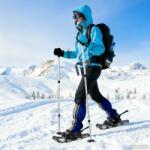 vidaXL 3 в 1 снегоходки с туристически пръчки Сребрист и Черен (42021421)
