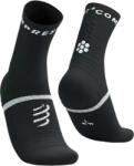 Compressport Pro marathon socks v2.0 t3