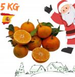  Mandarin Klementin 5KG Friss Karácsonyfa Spanyolországból