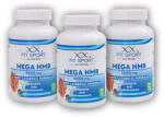 FitSport Nutrition 3x Mega HMB 3000mg, 120 căciuli vegetale