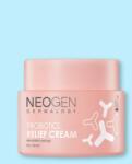Neogen Arckrém tripla probiotikum adaggal Dermalogy Probiotics Relief Cream - 50 g