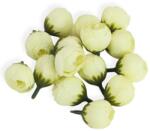  Begónia virágfej krém 2cm 15db/csom - kosarbolt