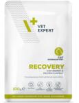 VetExpert VetExpert Veterinary Diet Recovery 100g Macskaeledel Felépülés