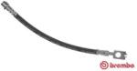 BREMBO Furtun Frana T85116 Audi A4 B5/A4 B6/A4 B7 Seat Exeo (T85116)