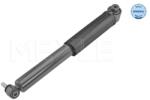 MEYLE Amortizor Puntea Spate 16-267250021 Renault Megane/Megane Iii (16-267250021)