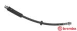 BREMBO Furtun Frana T85117 Audi A4 B5/A4 B6/A4 B7 Seat Exeo (T85117)