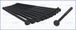 AJUSA Set Surub, Chiulasa 81006700 Citroën Ax/Berlingo / Berlingo First/Bx/C15/C2/C3 I
