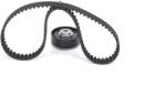 Bosch Set Curea De Distributie 1987946349 Ford C-Max/Fiesta/Fiesta Iv/Focus C-Max (1987946349)