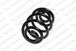 LESJÖFORS Arc Spiral Puntea Spate 4208452 Bmw Z4