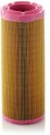Mann-filter Filtru Aer C1196/2 Branson Serie-10 Kioti Series Ck Landini Mistral