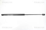 TRISCAN Amortizor, Luneta 871016251 Ford Kuga I (871016251)