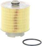 MANN-FILTER Filtru Aer C17137X Audi A6 C6 (C17137X)