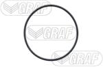 GRAF Pompă De Apă, Răcire Motor Pa683 Citroën Berlingo/Berlingo / Berlingo First/C2